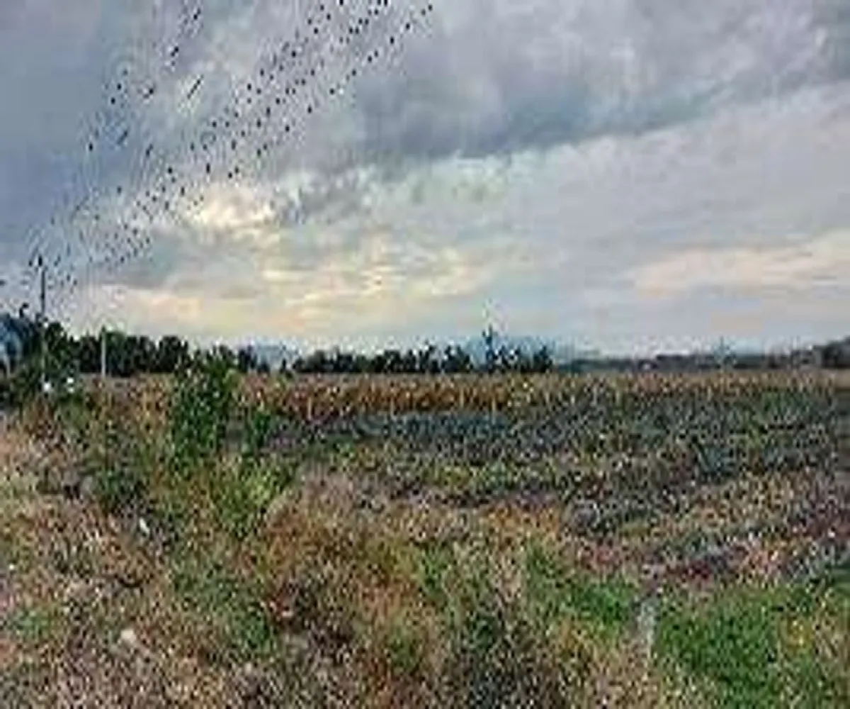 Terreno En Venta,Centro,Guadalajara - Ocotolan s/n. A 3.5 Km al oriente de Poncitlan S/N, Poncitlán, Jalisco 45950,Guadalajara - Ocotolan s/n. A 3.5 Km al oriente de Poncitlan,pn2I3jk Terreno En Venta,Centro,Guadalajara - Ocotolan s/n. A 3.5 Km al oriente de Poncitlan S/N, Poncitlán, Jalisco 45950,Guadalajara - Ocotolan s/n. A 3.5 Km al oriente de Poncitlan,pn2I3jk