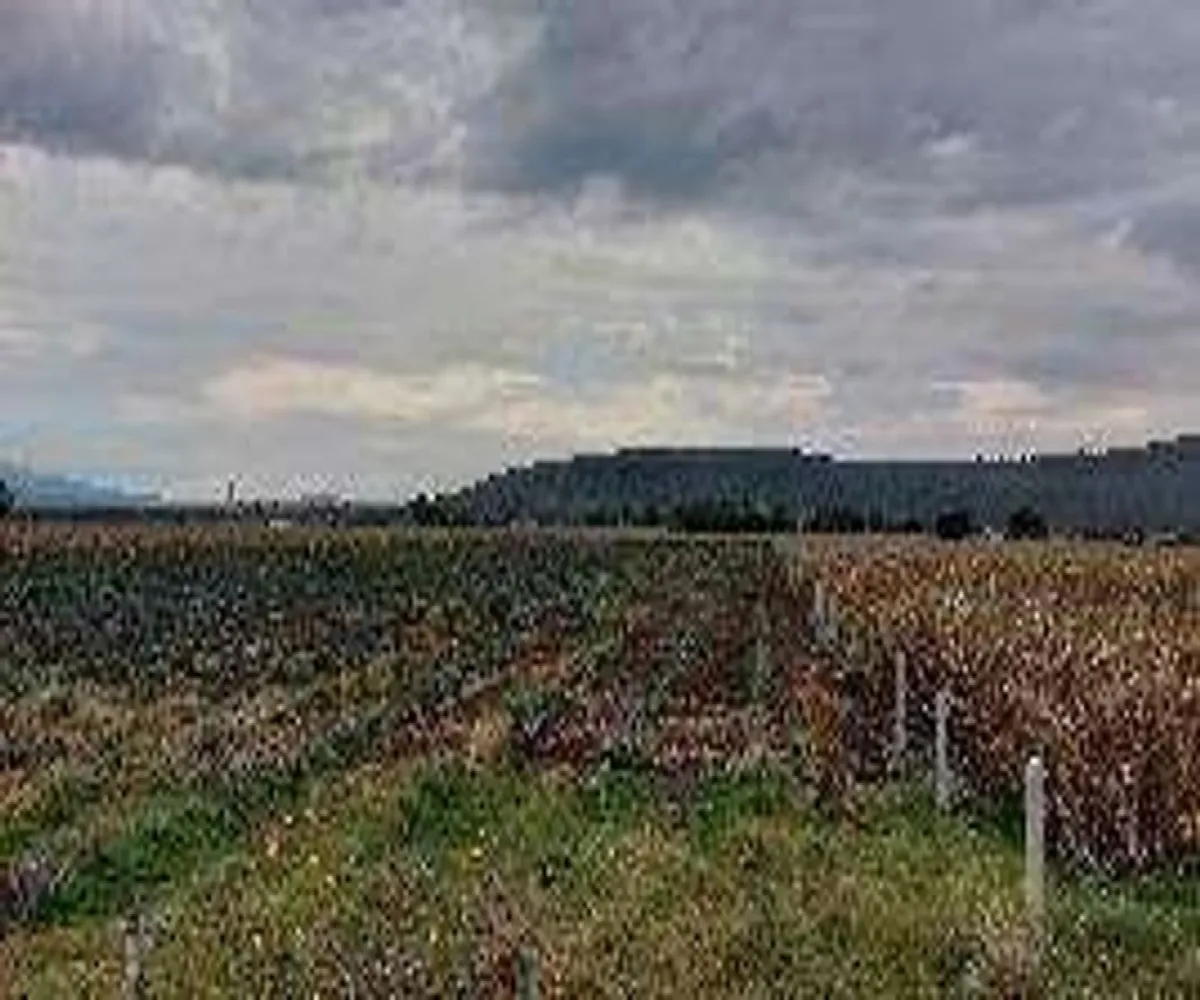 Terreno En Venta,Centro,Guadalajara - Ocotolan s/n. A 3.5 Km al oriente de Poncitlan S/N, Poncitlán, Jalisco 45950,Guadalajara - Ocotolan s/n. A 3.5 Km al oriente de Poncitlan,pn2I3jk Terreno En Venta,Centro,Guadalajara - Ocotolan s/n. A 3.5 Km al oriente de Poncitlan S/N, Poncitlán, Jalisco 45950,Guadalajara - Ocotolan s/n. A 3.5 Km al oriente de Poncitlan,pn2I3jk