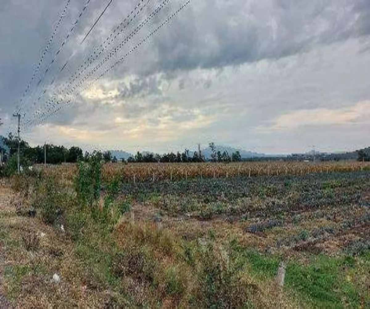 Terreno En Venta,Centro,Guadalajara - Ocotolan s/n. A 3.5 Km al oriente de Poncitlan S/N, Poncitlán, Jalisco 45950,Guadalajara - Ocotolan s/n. A 3.5 Km al oriente de Poncitlan,pn2I3jk Terreno En Venta,Centro,Guadalajara - Ocotolan s/n. A 3.5 Km al oriente de Poncitlan S/N, Poncitlán, Jalisco 45950,Guadalajara - Ocotolan s/n. A 3.5 Km al oriente de Poncitlan,pn2I3jk