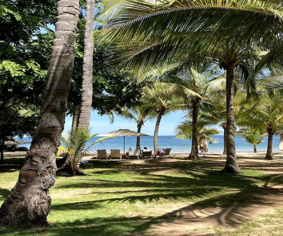 Terreno En Venta,Fraccionamiento Chapala,Playa Chacala S/N, Compostela, Nayarit 63714,Playa Chacala,ppPBEi0