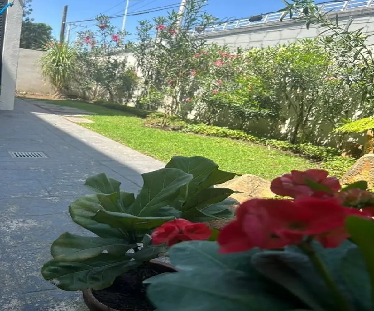 Departamento En Venta,Vallarta Poniente,Avenida Ignacio L Vallarta 4701, Zapopan, Jalisco 44509, 3 Habitaciones,3 Baños,Avenida Ignacio L Vallarta,1,pxBrwla