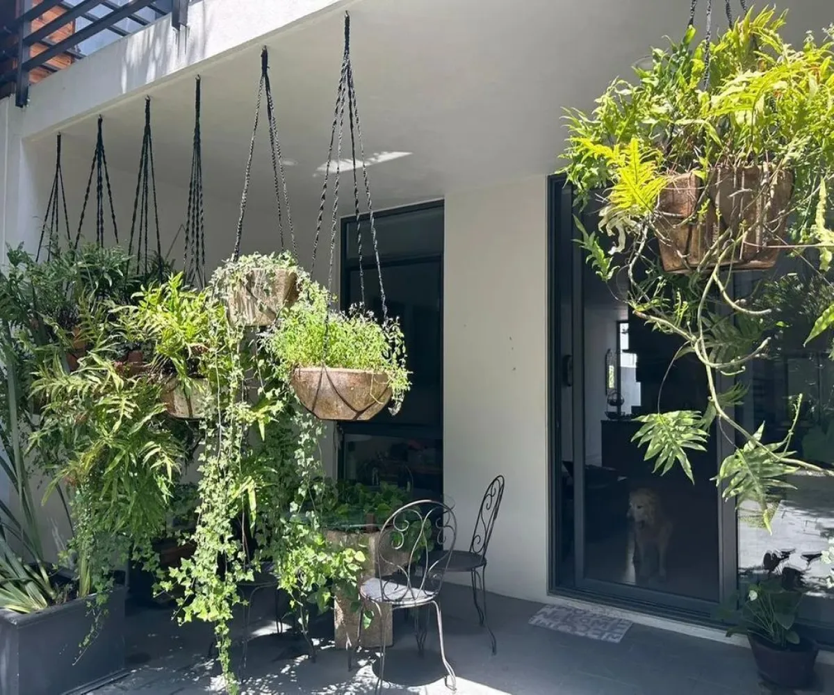 Departamento En Venta,Vallarta Poniente,Avenida Ignacio L Vallarta 4701, Zapopan, Jalisco 44509, 3 Habitaciones,3 Baños,Avenida Ignacio L Vallarta,1,pxBrwla