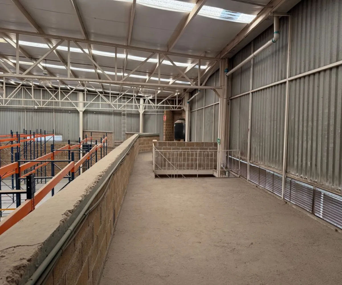 Bodega En Venta,Agua Blanca Industrial,Josefa Ortiz de Domínguez 24, Zapopan, Jalisco 45235,8 Baños,Josefa Ortiz de Domínguez,1,p7uMQyP