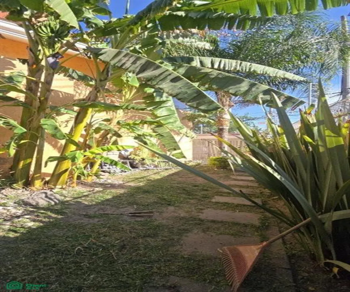 En Venta,Vallarta Universidad,Dante Alighieri 402, Zapopan, Jalisco 45110, 5 Habitaciones,5 Baños,Dante Alighieri,3,MX25931809