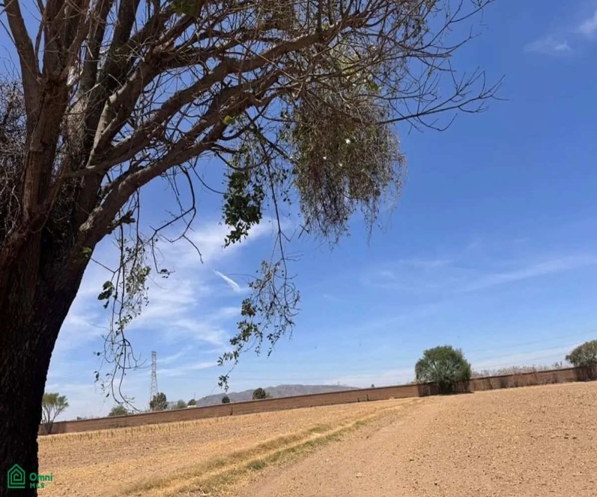 Local En Venta,Indígena San Juan De Ocotan,Potrero de Ocotán S/N, Zapopan, Jalisco 45200,Potrero de Ocotán,MX25942906