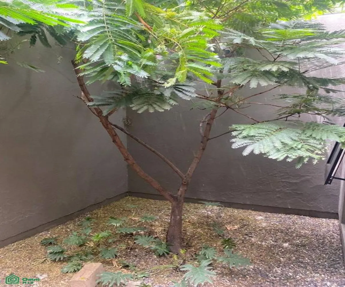 En Venta,Monraz,Seris 801, Guadalajara, Jalisco 44670, 4 Habitaciones,4 Baños,Seris,2,MX25946290