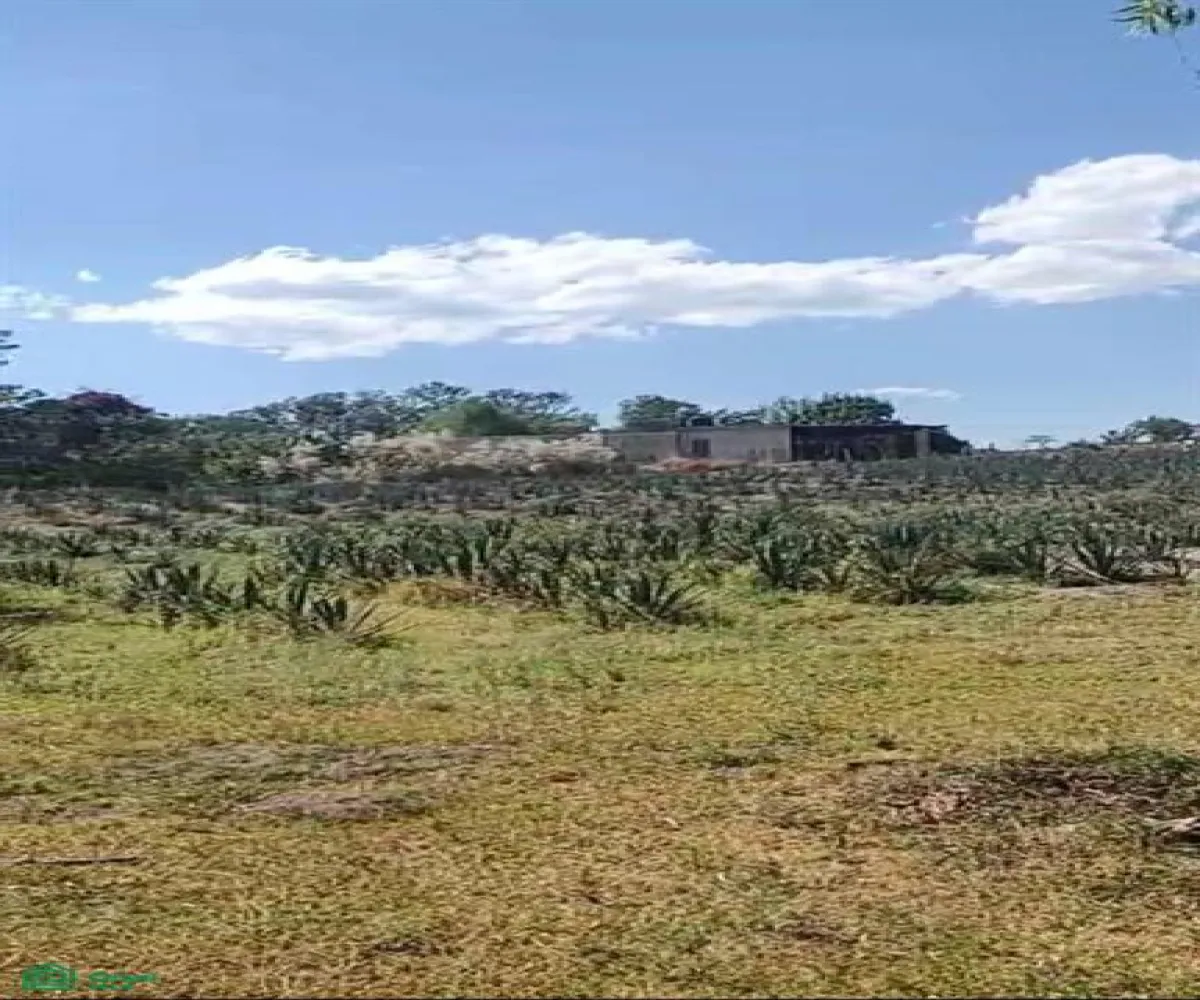 Terreno En Venta,La Venta Del Astillero,Brecha del Ingeniero 17, Zapopan, Jalisco 45221,Brecha del Ingeniero,MX25946453