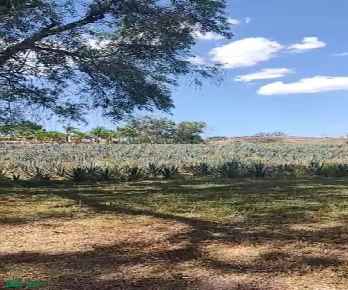 Terreno En Venta,La Venta Del Astillero,Brecha del Ingeniero 17, Zapopan, Jalisco 45221,Brecha del Ingeniero,MX25946453