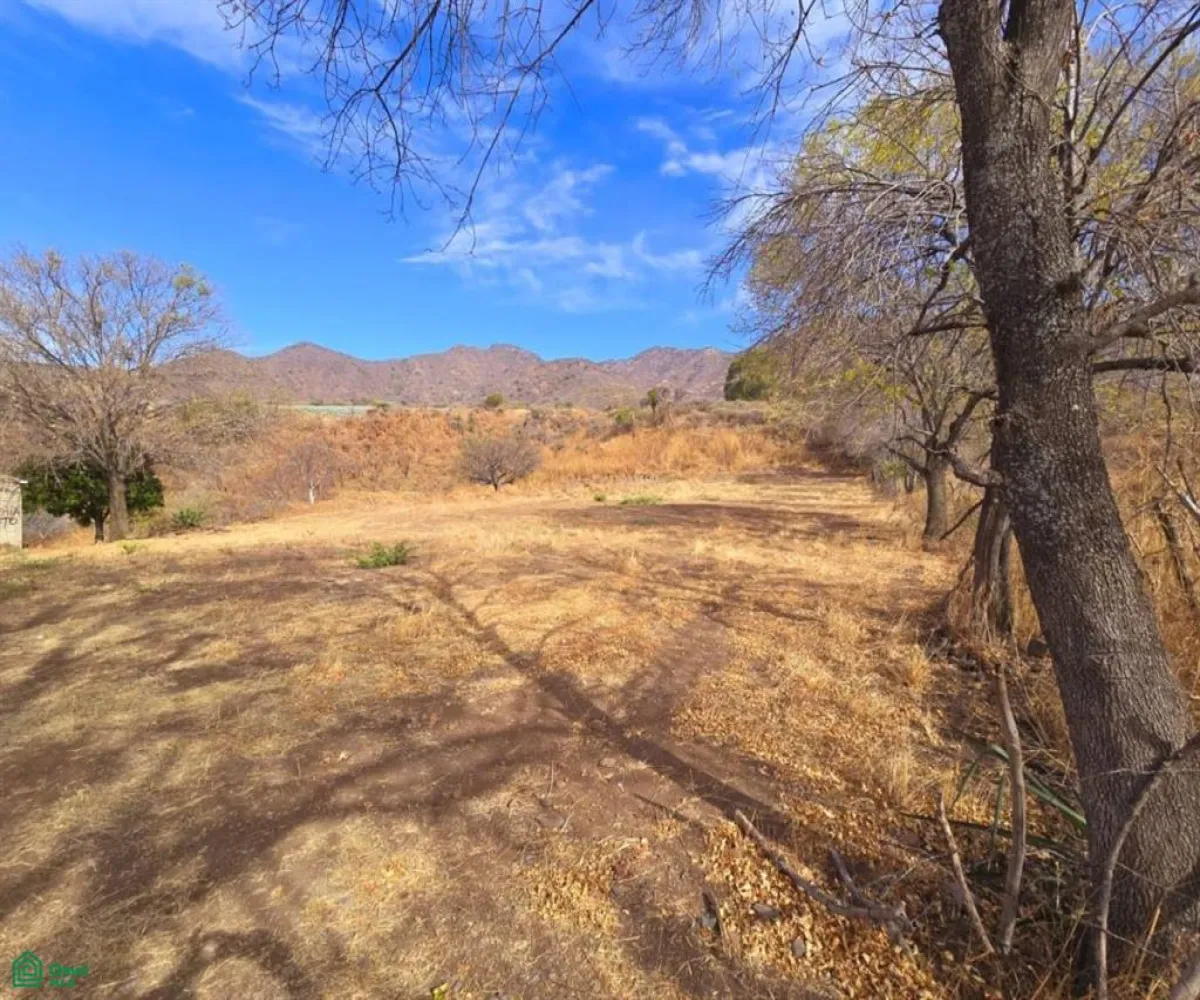 Terreno En Venta,Chapala Centro,CALLE S/N PARCELA 13 Z1 P1/1, Chapala, Jalisco 45900,CALLE S/N PARCELA,MX25948483