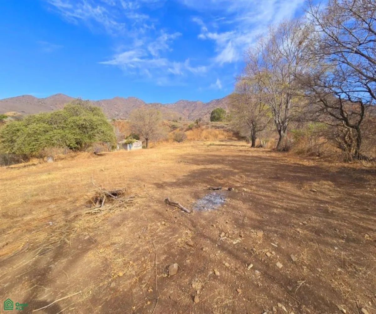 Terreno En Venta,Chapala Centro,CALLE S/N PARCELA 13 Z1 P1/1, Chapala, Jalisco 45900,CALLE S/N PARCELA,MX25948483