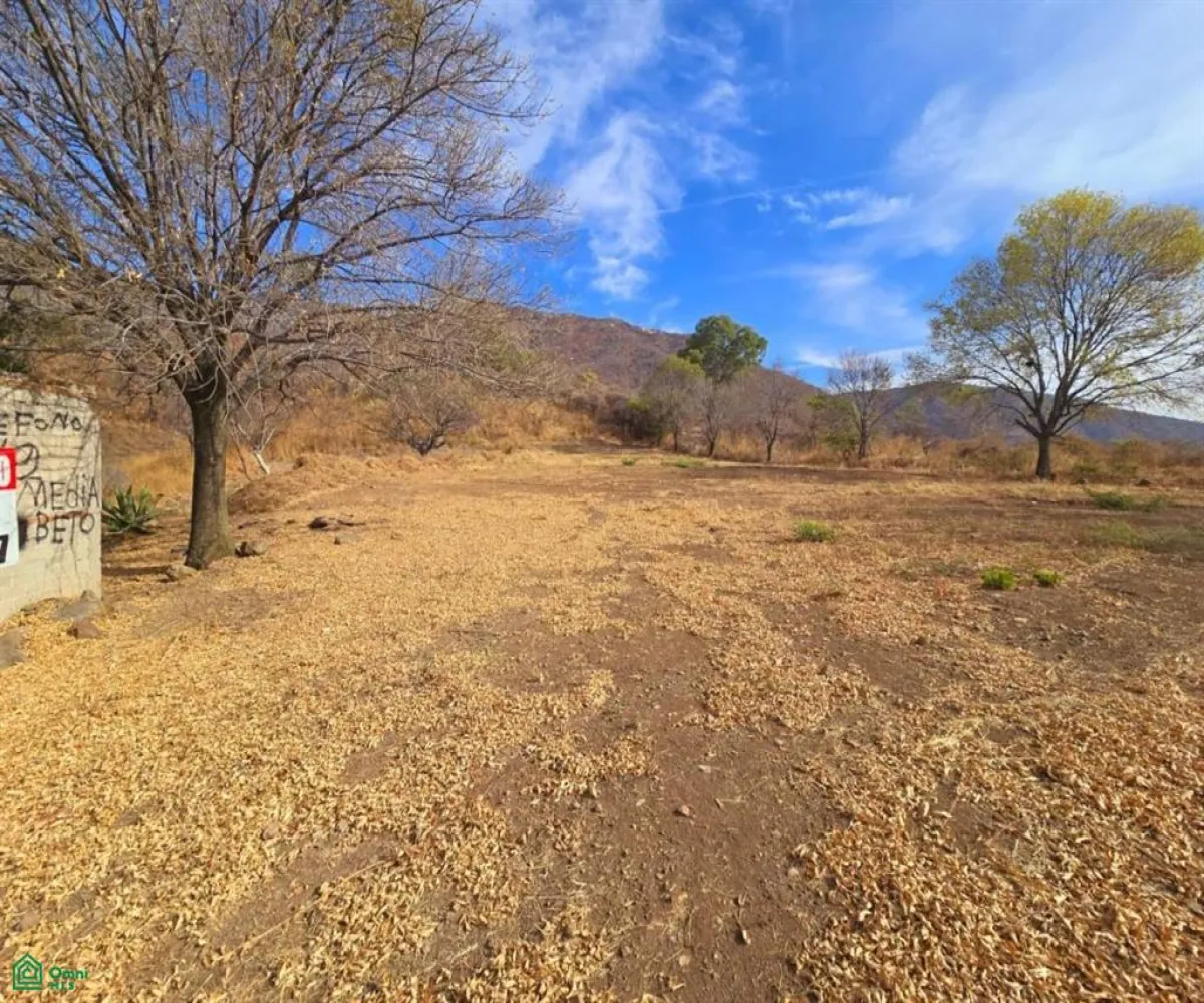 Terreno En Venta,Chapala Centro,CALLE S/N PARCELA 13 Z1 P1/1, Chapala, Jalisco 45900,CALLE S/N PARCELA,MX25948483