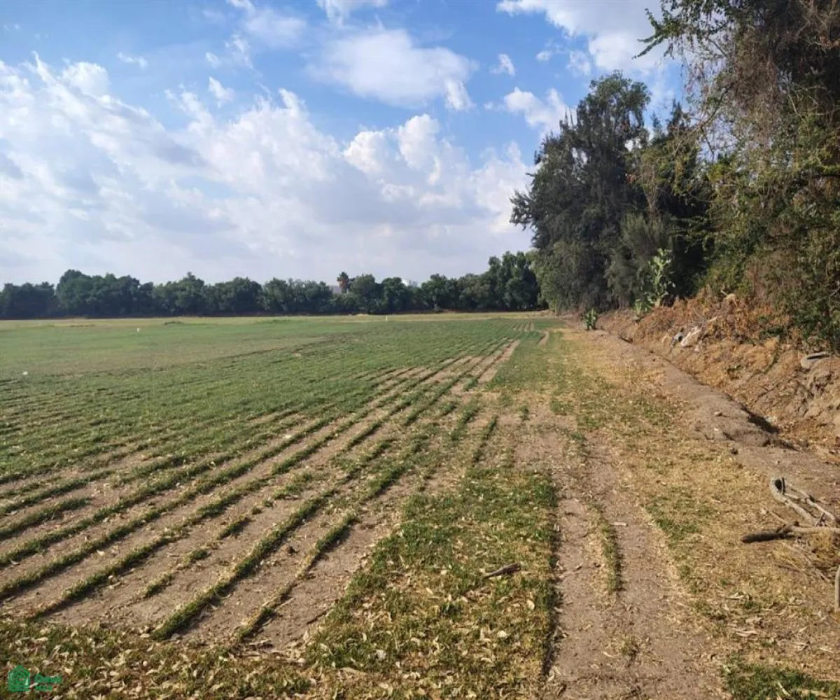 Terreno En Venta,Las Pomas,Camino Rancho El Encino SN, Tlaquepaque, Jalisco 45602,Camino Rancho El Encino,MX25954173