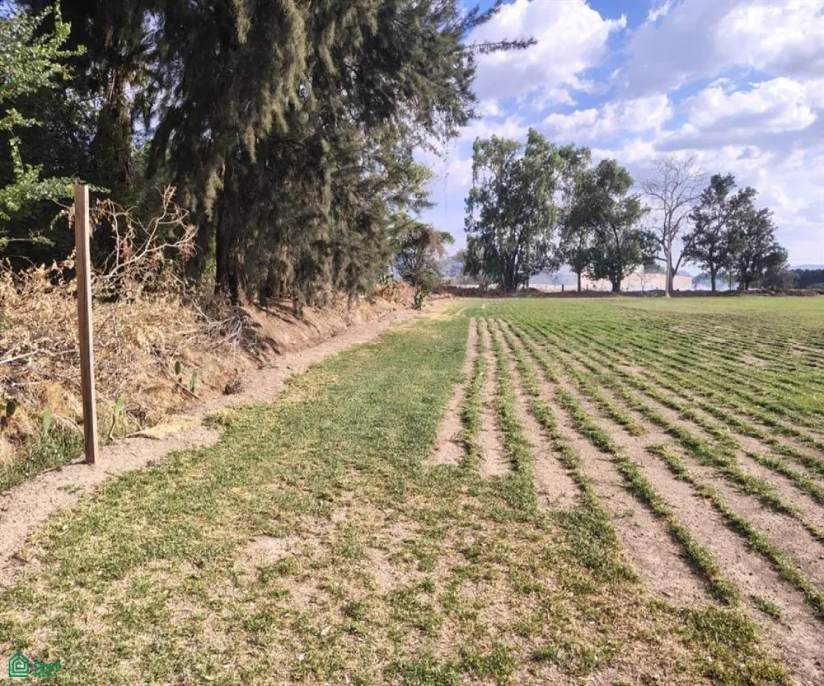 Terreno En Venta,Las Pomas,Camino Rancho El Encino SN, Tlaquepaque, Jalisco 45602,Camino Rancho El Encino,MX25954173