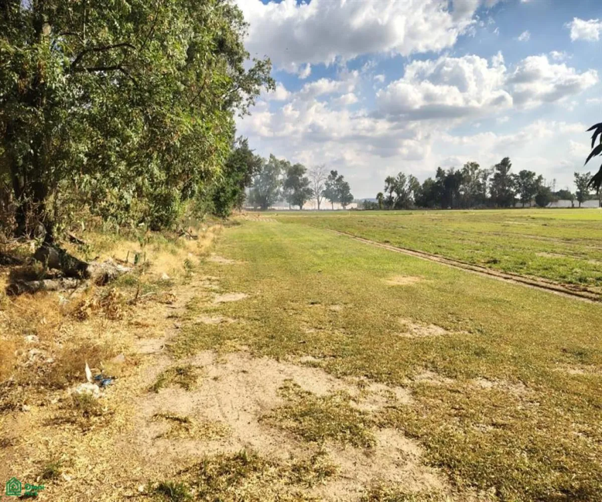 Terreno En Venta,Las Pomas,Camino Rancho El Encino SN, Tlaquepaque, Jalisco 45602,Camino Rancho El Encino,MX25954173