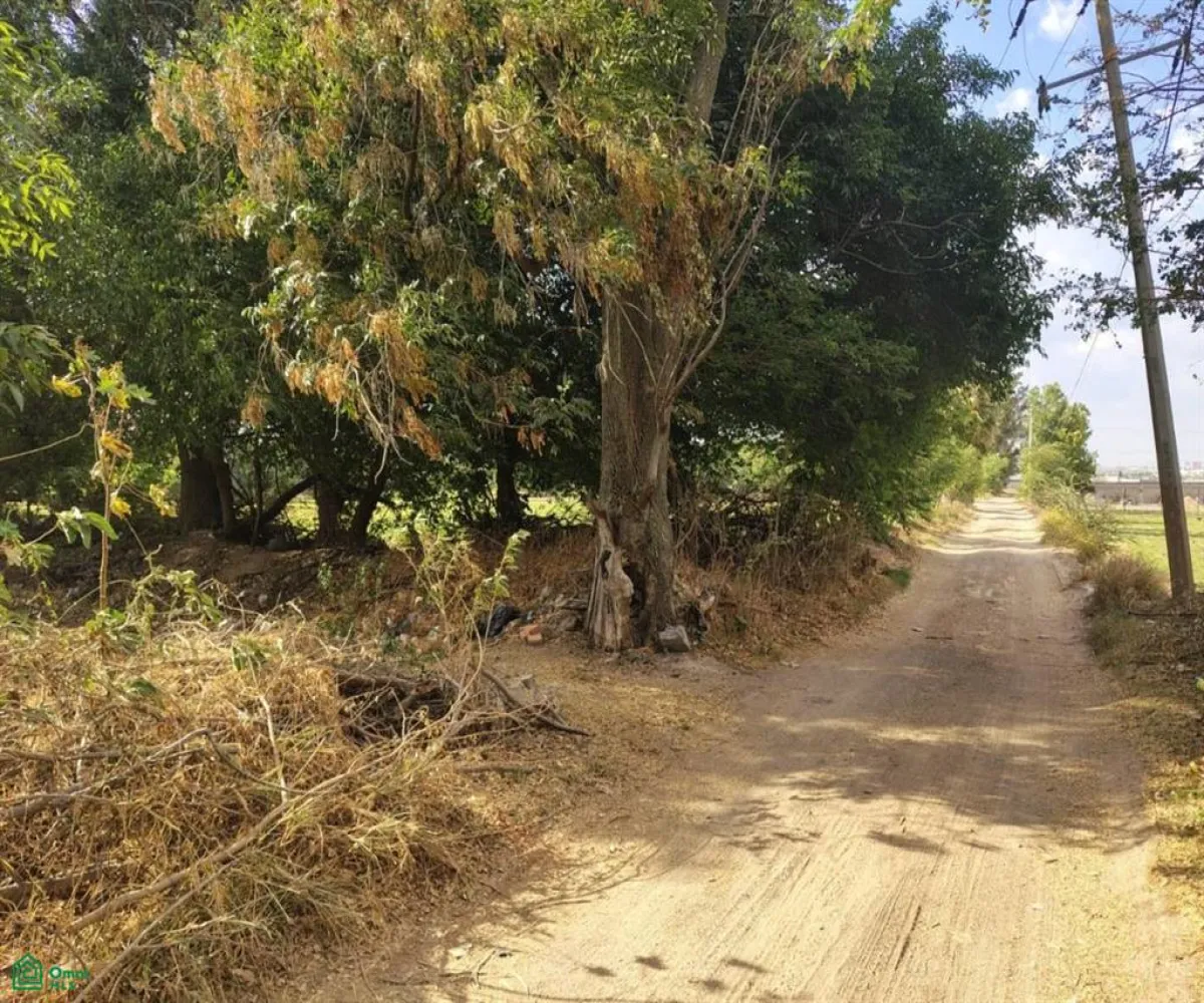 Terreno En Venta,Las Pomas,Camino Rancho El Encino SN, Tlaquepaque, Jalisco 45602,Camino Rancho El Encino,MX25954173