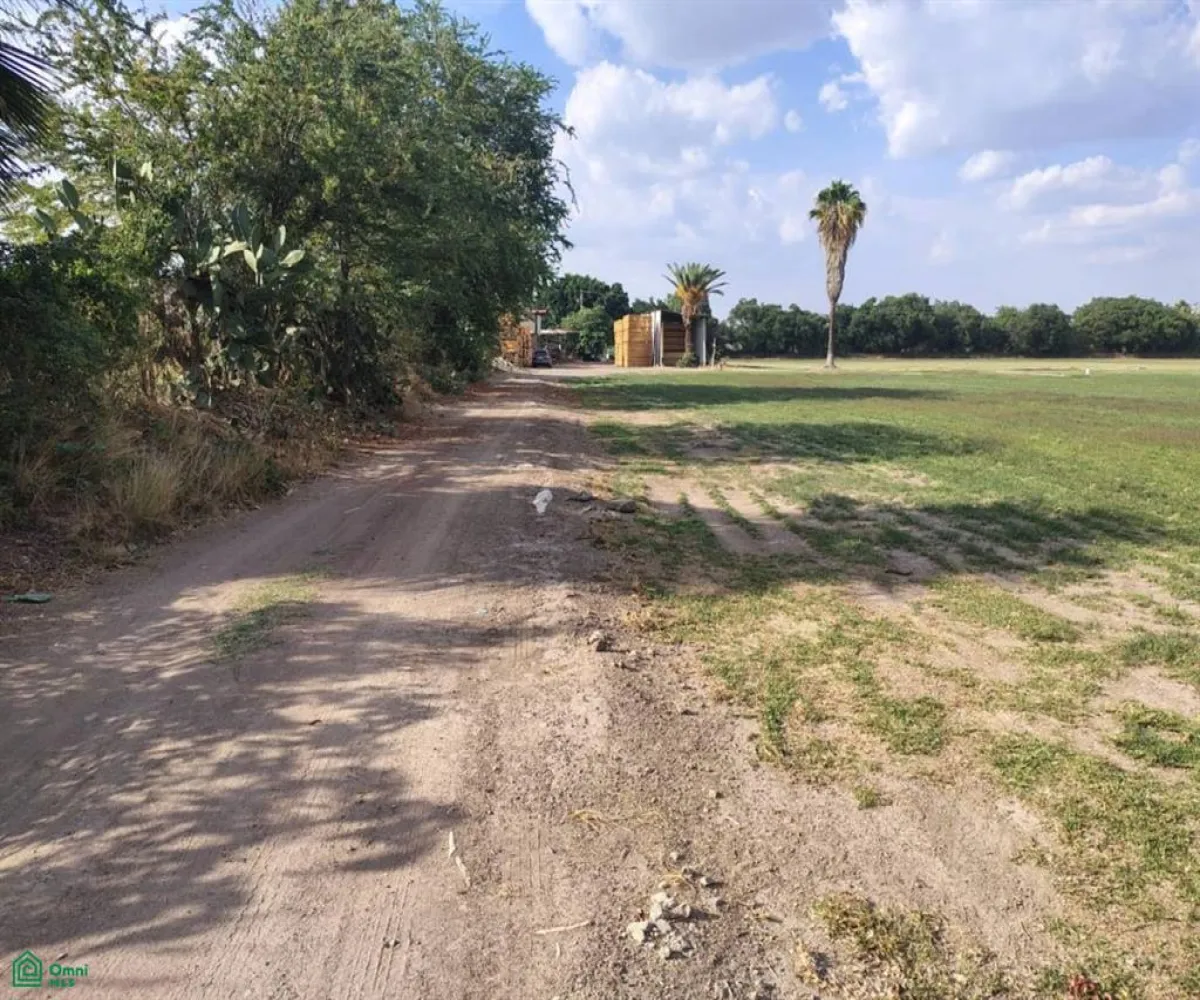 Terreno En Venta,Las Pomas,Camino Rancho El Encino SN, Tlaquepaque, Jalisco 45602,Camino Rancho El Encino,MX25954173