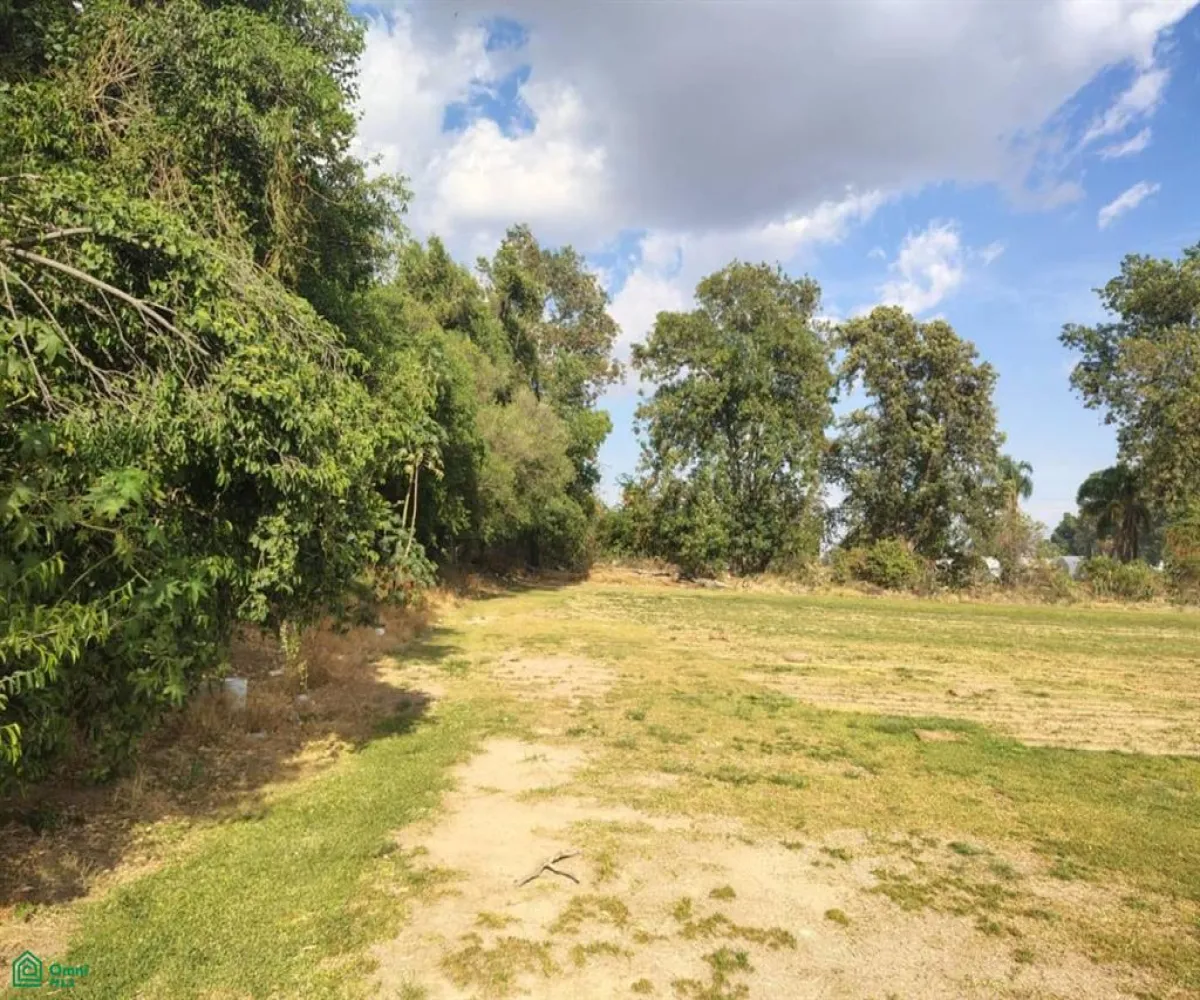 Terreno En Venta,Las Pomas,Camino Rancho El Encino SN, Tlaquepaque, Jalisco 45602,Camino Rancho El Encino,MX25954173