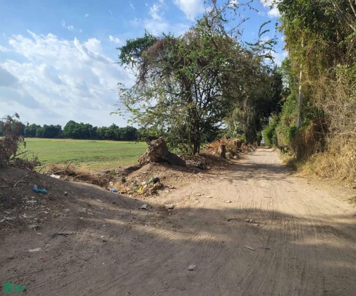 Terreno En Venta,Las Pomas,Camino Rancho El Encino SN, Tlaquepaque, Jalisco 45602,Camino Rancho El Encino,MX25954173