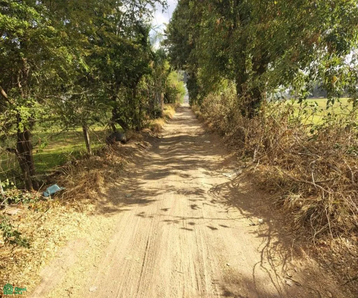 Terreno En Venta,Las Pomas,Camino Rancho El Encino SN, Tlaquepaque, Jalisco 45602,Camino Rancho El Encino,MX25954173