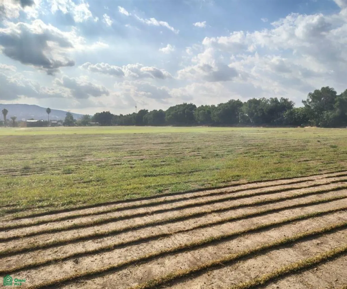 Terreno En Venta,Las Pomas,Camino Rancho El Encino SN, Tlaquepaque, Jalisco 45602,Camino Rancho El Encino,MX25954173