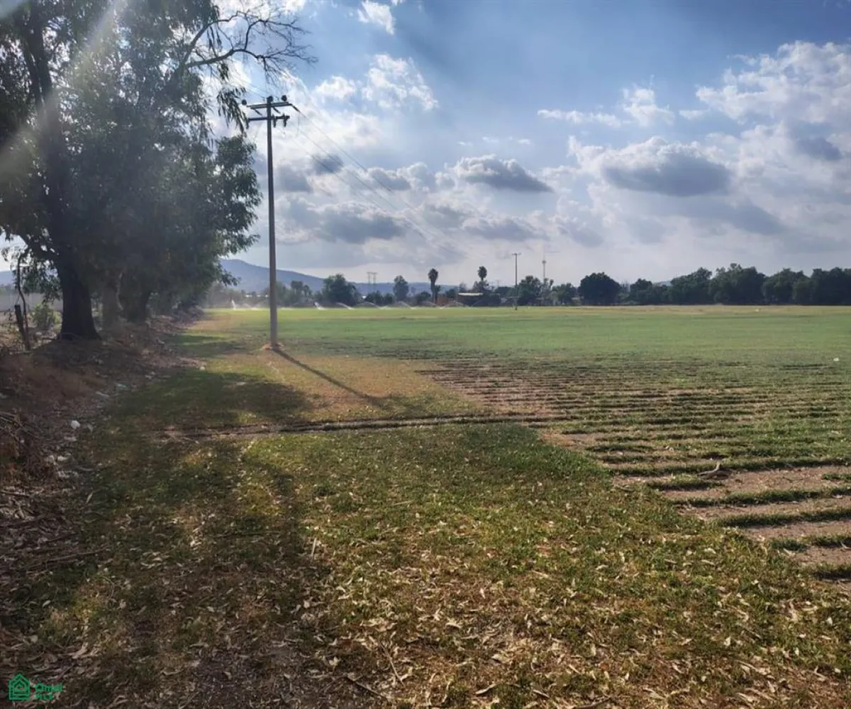 Terreno En Venta,Las Pomas,Camino Rancho El Encino SN, Tlaquepaque, Jalisco 45602,Camino Rancho El Encino,MX25954173