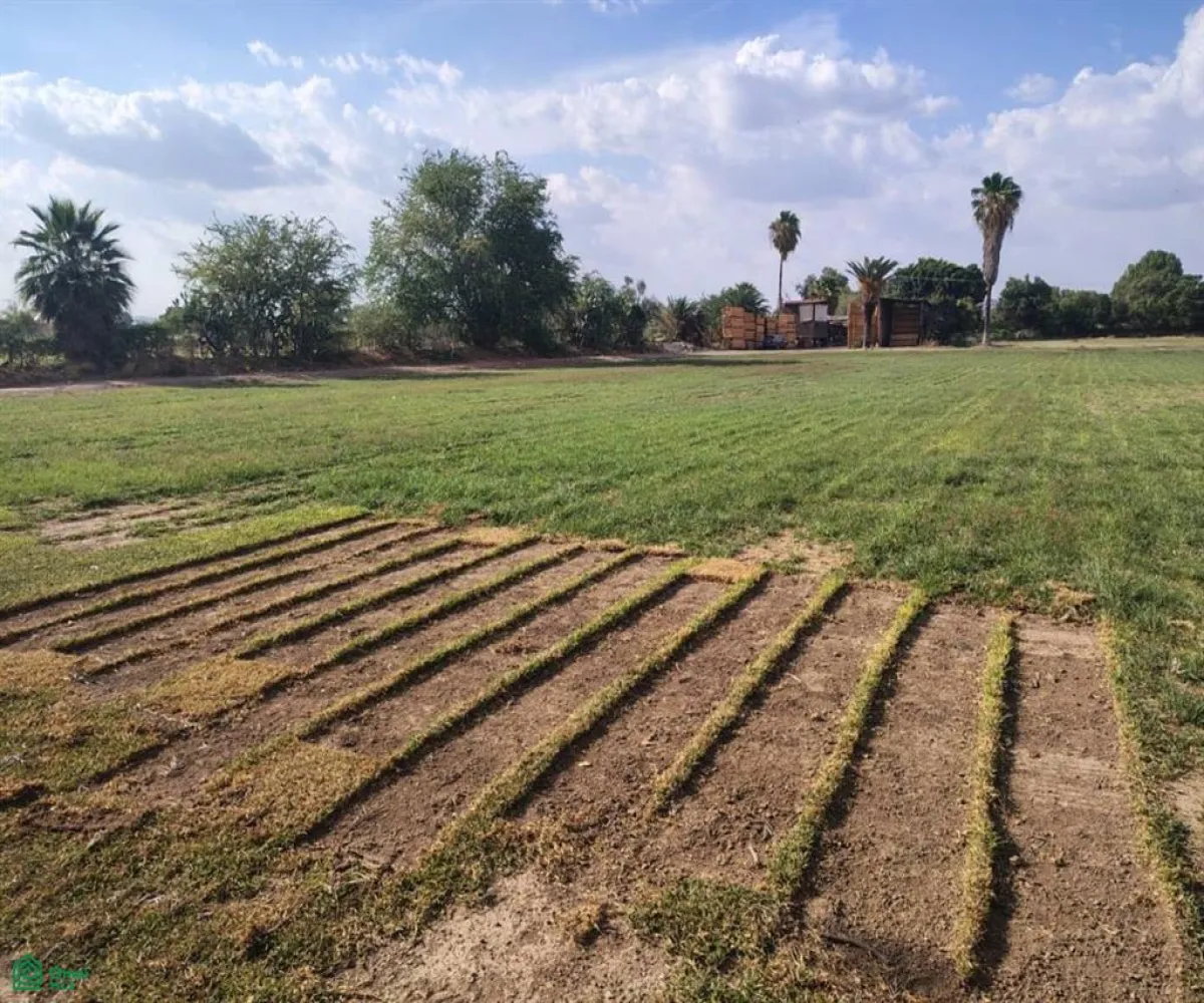 Terreno En Venta,Las Pomas,Camino Rancho El Encino SN, Tlaquepaque, Jalisco 45602,Camino Rancho El Encino,MX25954173