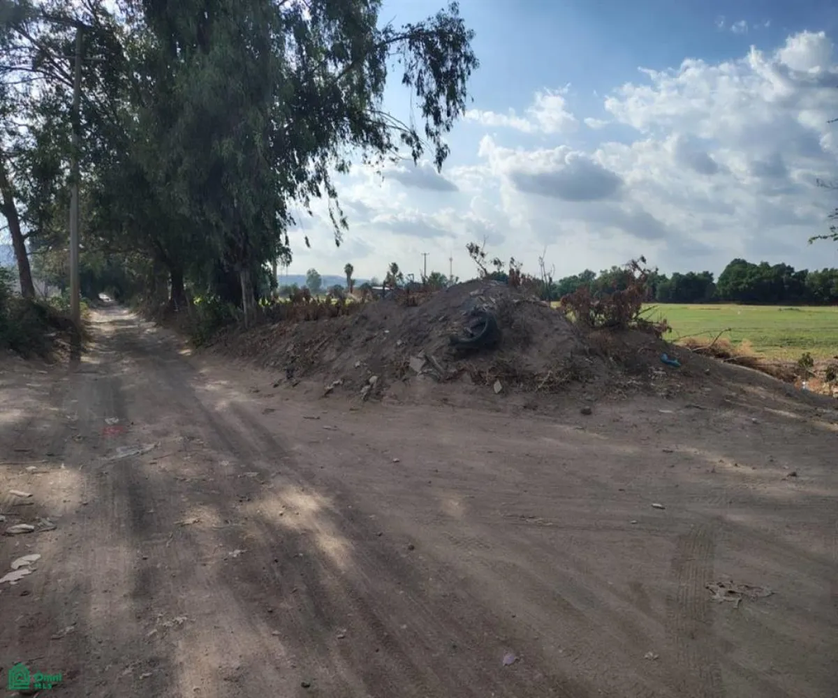 Terreno En Venta,Las Pomas,Camino Rancho El Encino SN, Tlaquepaque, Jalisco 45602,Camino Rancho El Encino,MX25954173