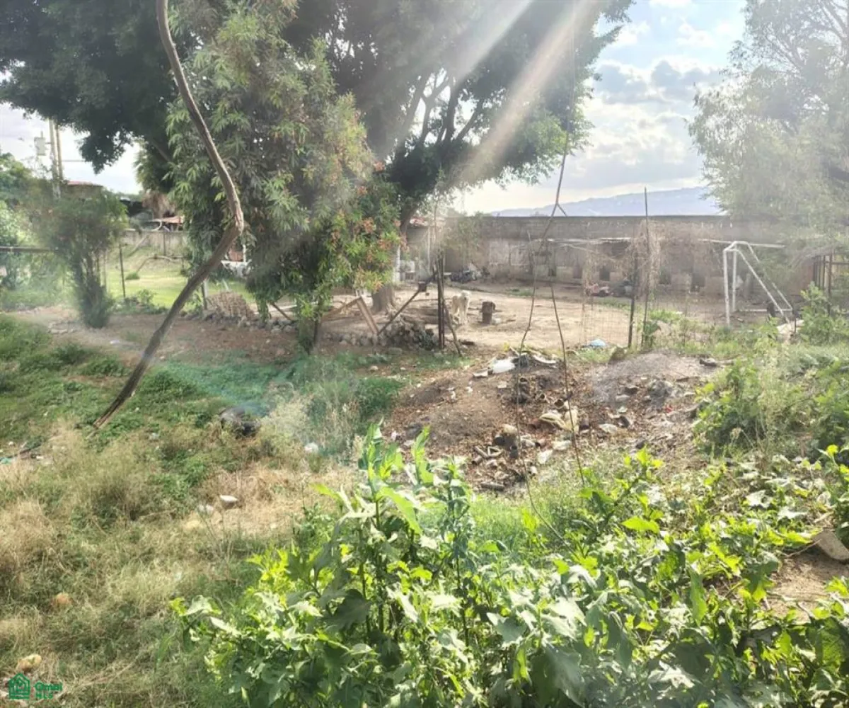 Terreno En Venta,Las Pomas,Camino Rancho El Encino SN, Tlaquepaque, Jalisco 45602,Camino Rancho El Encino,MX25954173