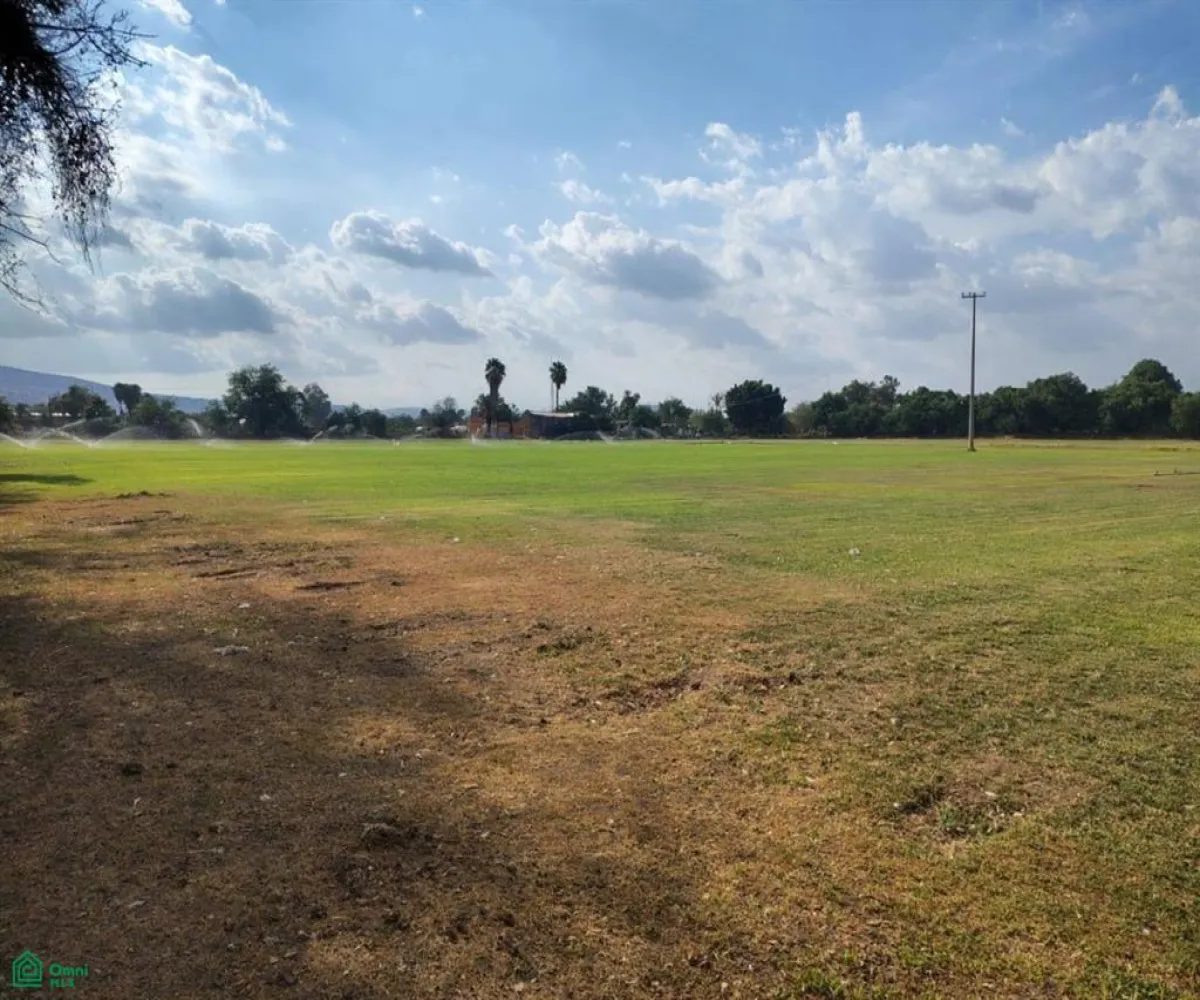 Terreno En Venta,Las Pomas,Camino Rancho El Encino SN, Tlaquepaque, Jalisco 45602,Camino Rancho El Encino,MX25954173