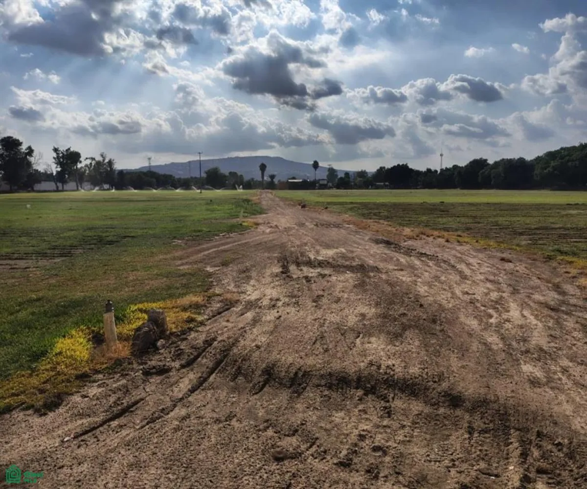 Terreno En Venta,Las Pomas,Camino Rancho El Encino SN, Tlaquepaque, Jalisco 45602,Camino Rancho El Encino,MX25954173