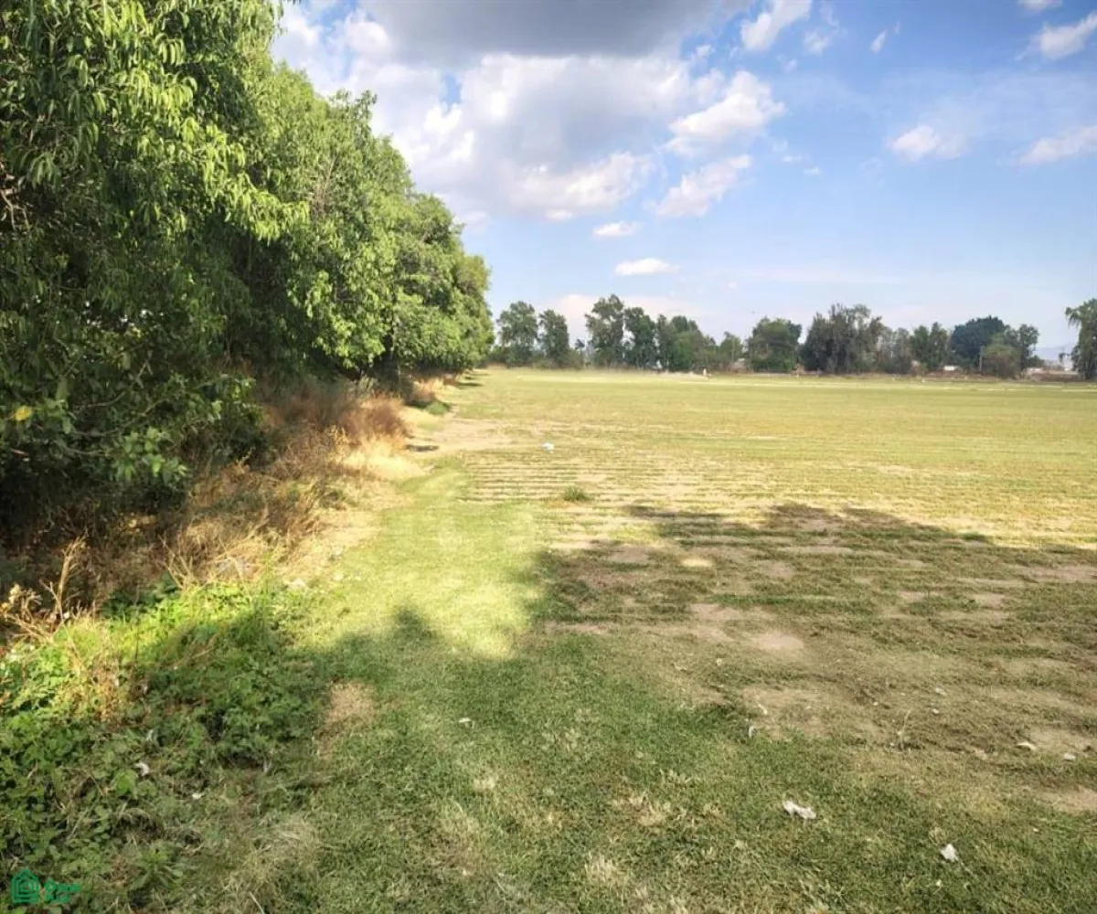 Terreno En Venta,Las Pomas,Camino Rancho El Encino SN, Tlaquepaque, Jalisco 45602,Camino Rancho El Encino,MX25954173