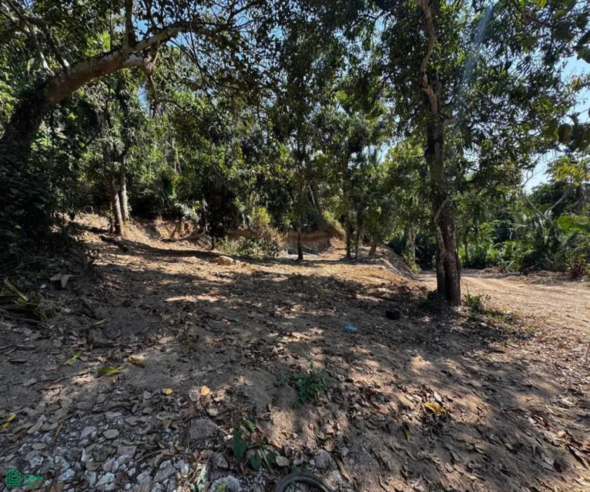 Terreno En Venta,Zona Hotelera Sur,Punta Negra 1B, Puerto Vallarta, Jalisco 48390,Punta Negra,MX25955385