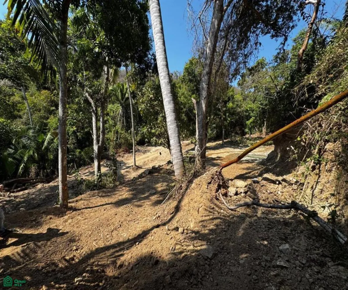 Terreno En Venta,Zona Hotelera Sur,Punta Negra 1B, Puerto Vallarta, Jalisco 48390,Punta Negra,MX25955385