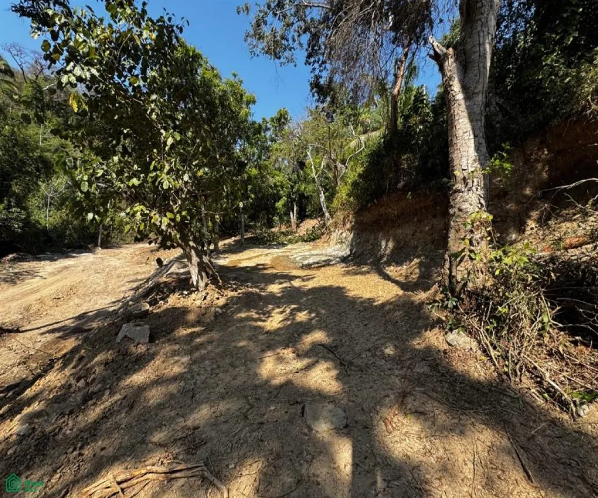 Terreno En Venta,Zona Hotelera Sur,Punta Negra 1B, Puerto Vallarta, Jalisco 48390,Punta Negra,MX25955385