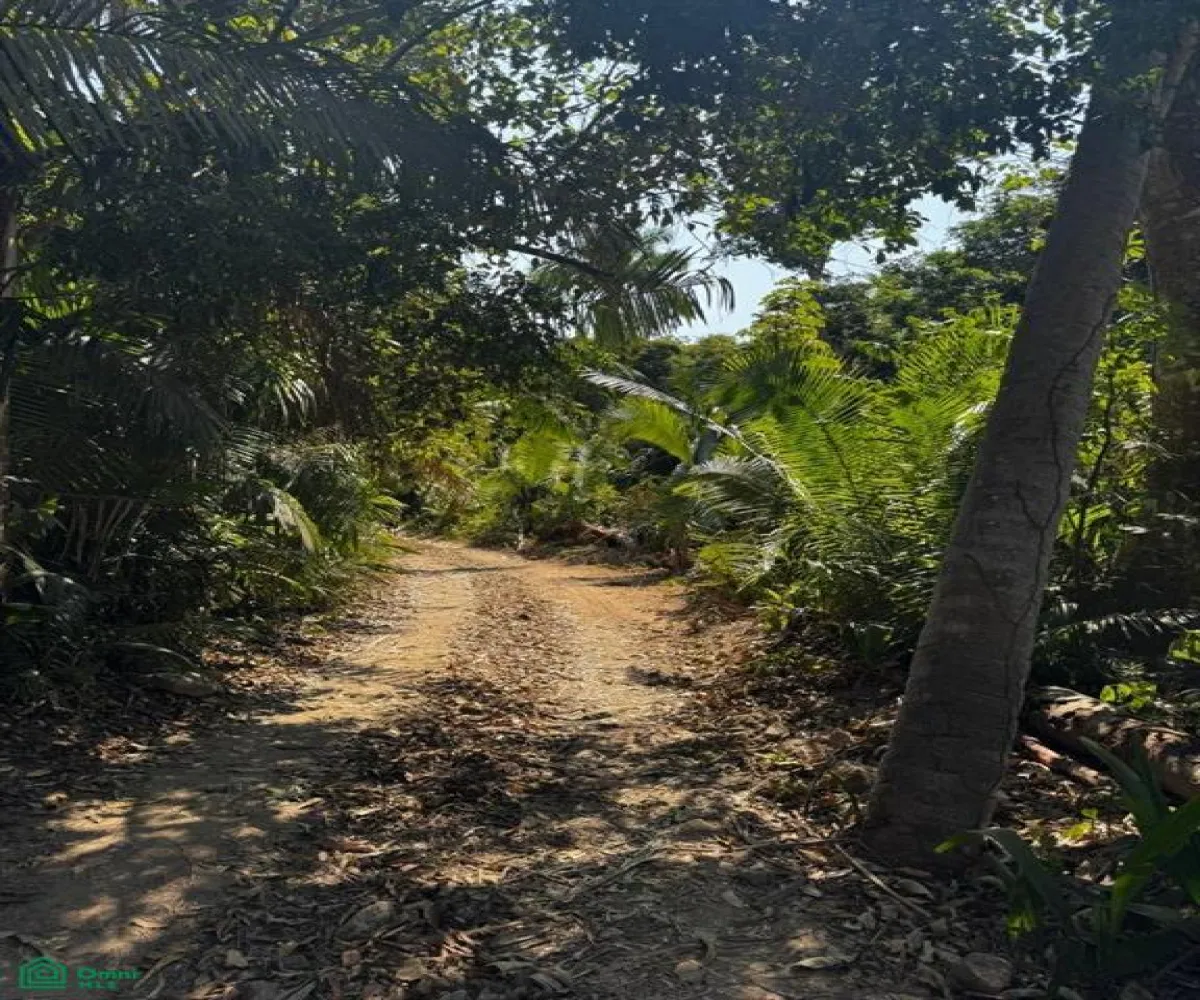 Terreno En Venta,Zona Hotelera Sur,Punta Negra 1B, Puerto Vallarta, Jalisco 48390,Punta Negra,MX25955385