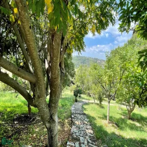 Local En Venta,Ixtlahuacan De Los Membrillos,Camino de los Arrieros 3-B, Guadalajara, Jalisco 45850, 3 Habitaciones,4 Baños,Camino de los Arrieros,2,MX25956764