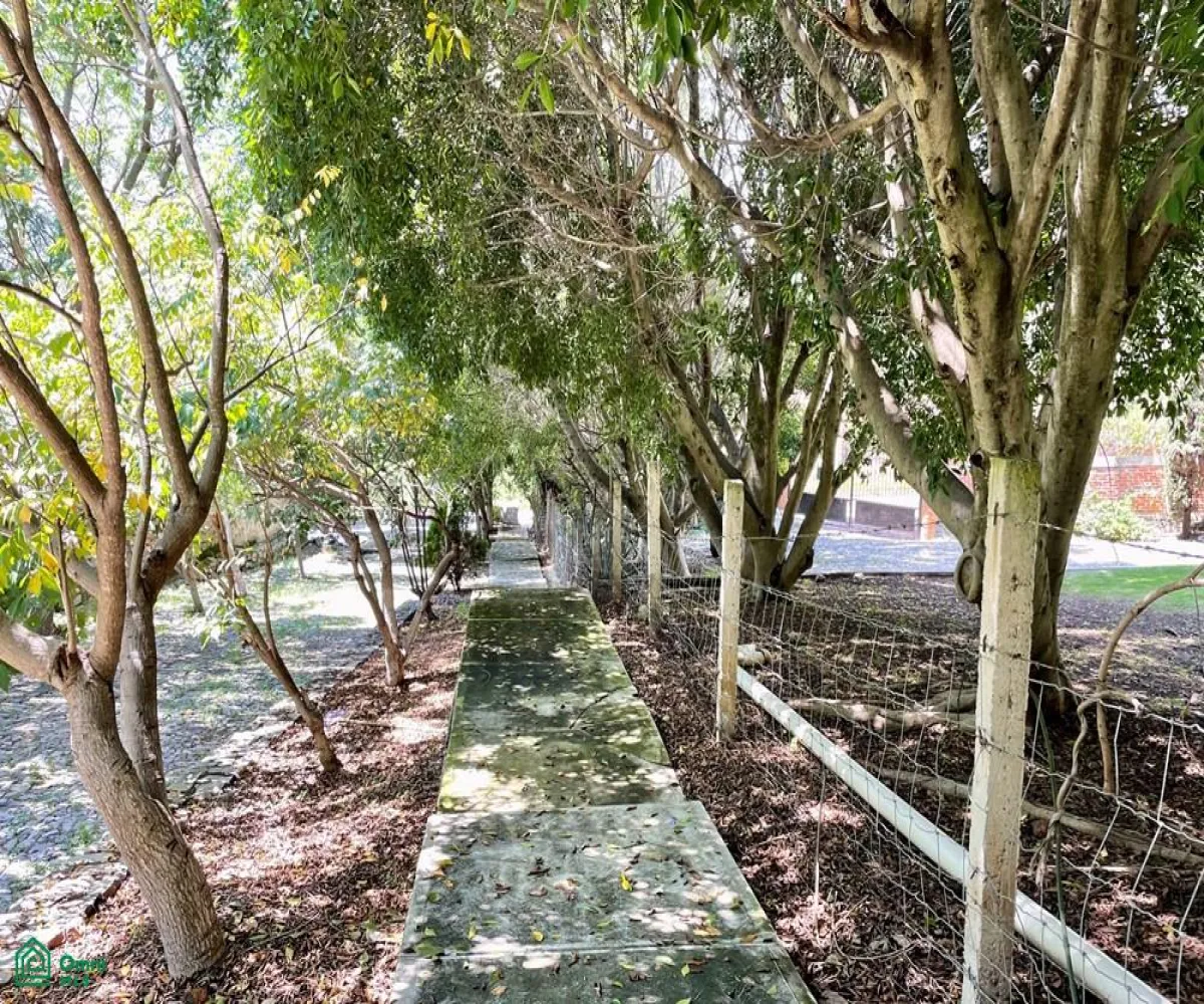 Local En Venta,Ixtlahuacan De Los Membrillos,Camino de los Arrieros 3-B, Guadalajara, Jalisco 45850, 3 Habitaciones,4 Baños,Camino de los Arrieros,2,MX25956764