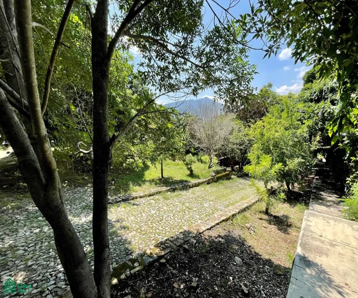 Local En Venta,Ixtlahuacan De Los Membrillos,Camino de los Arrieros 3-B, Guadalajara, Jalisco 45850, 3 Habitaciones,4 Baños,Camino de los Arrieros,2,MX25956764