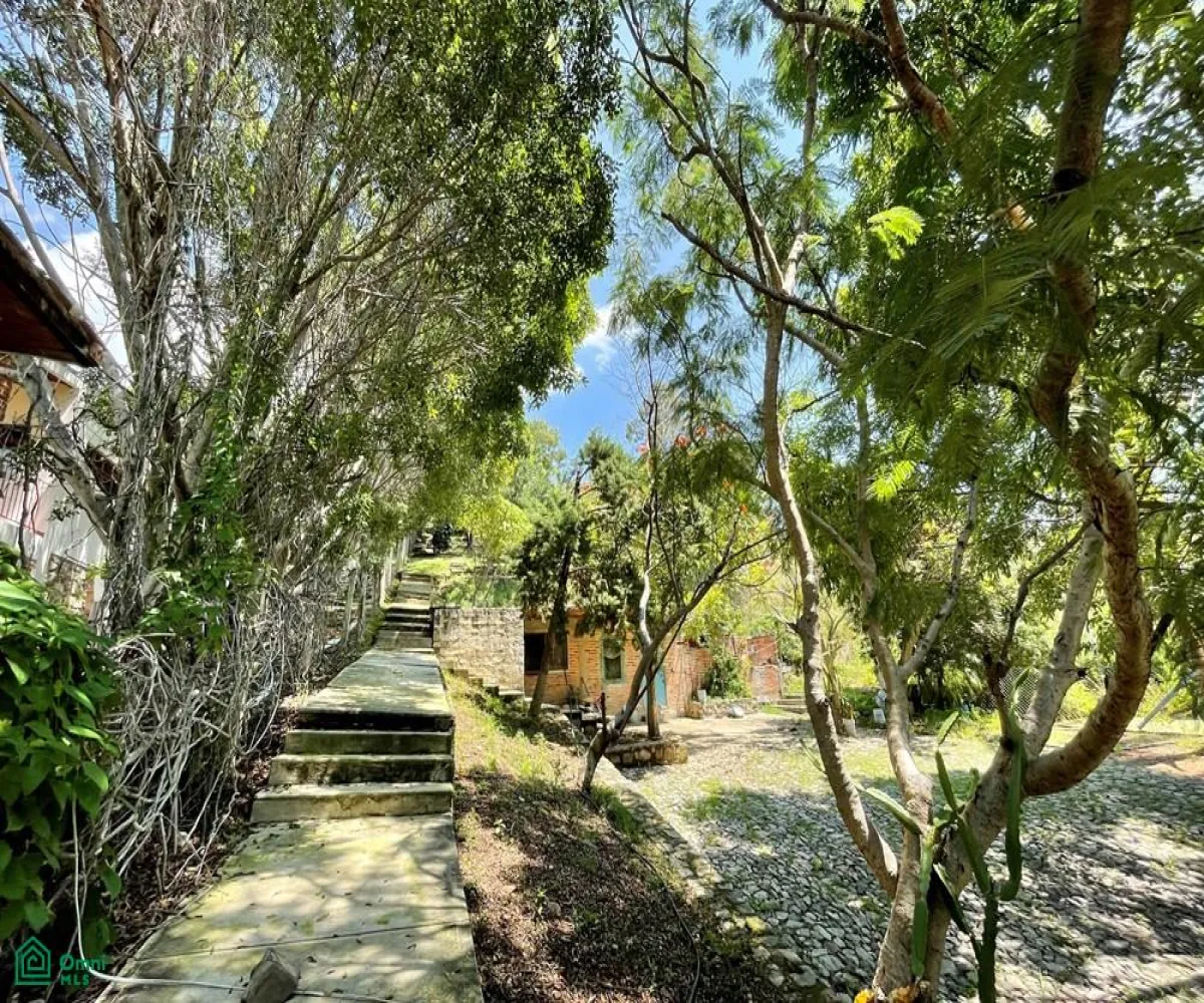 Local En Venta,Ixtlahuacan De Los Membrillos,Camino de los Arrieros 3-B, Guadalajara, Jalisco 45850, 3 Habitaciones,4 Baños,Camino de los Arrieros,2,MX25956764