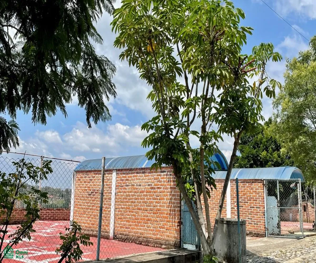 Local En Venta,Ixtlahuacan De Los Membrillos,Camino de los Arrieros 3-B, Guadalajara, Jalisco 45850, 3 Habitaciones,4 Baños,Camino de los Arrieros,2,MX25956764