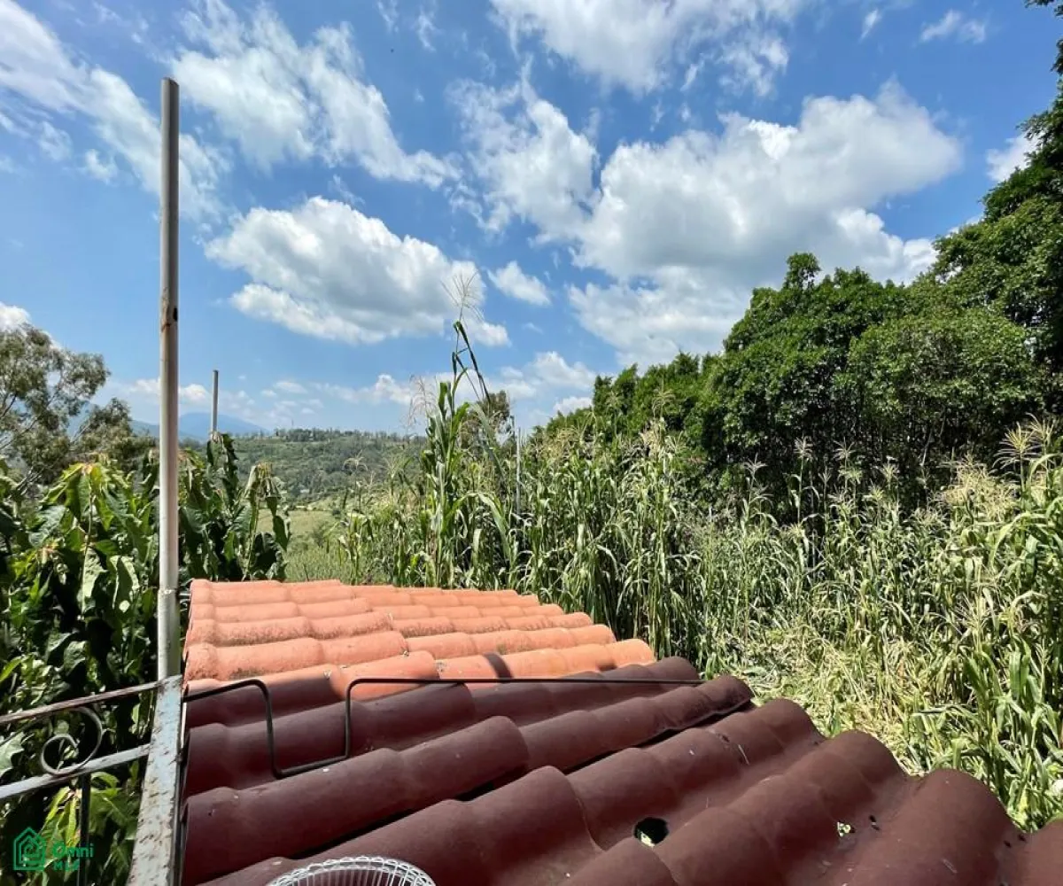 Local En Venta,Ixtlahuacan De Los Membrillos,Camino de los Arrieros 3-B, Guadalajara, Jalisco 45850, 3 Habitaciones,4 Baños,Camino de los Arrieros,2,MX25956764