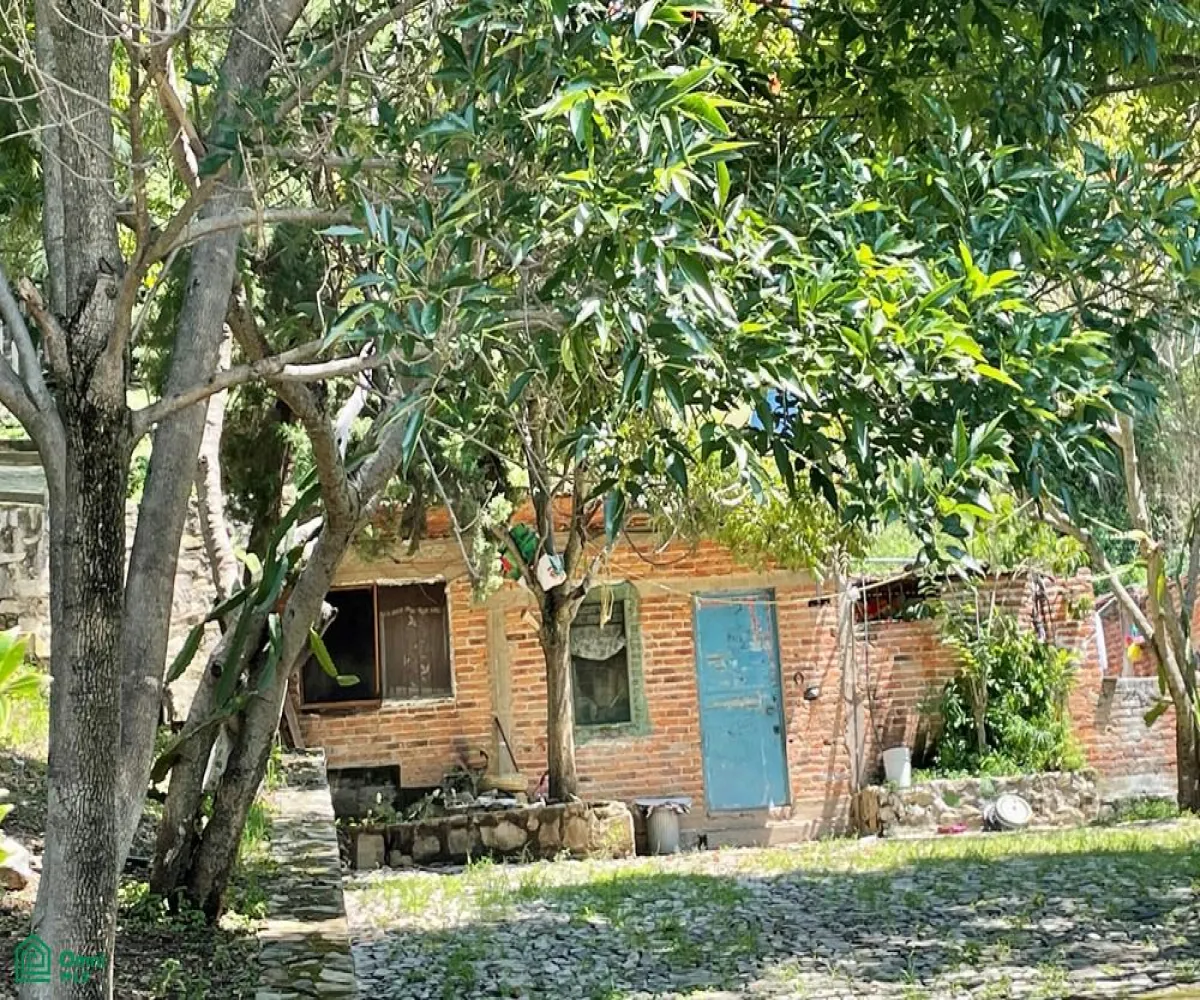 Local En Venta,Ixtlahuacan De Los Membrillos,Camino de los Arrieros 3-B, Guadalajara, Jalisco 45850, 3 Habitaciones,4 Baños,Camino de los Arrieros,2,MX25956764