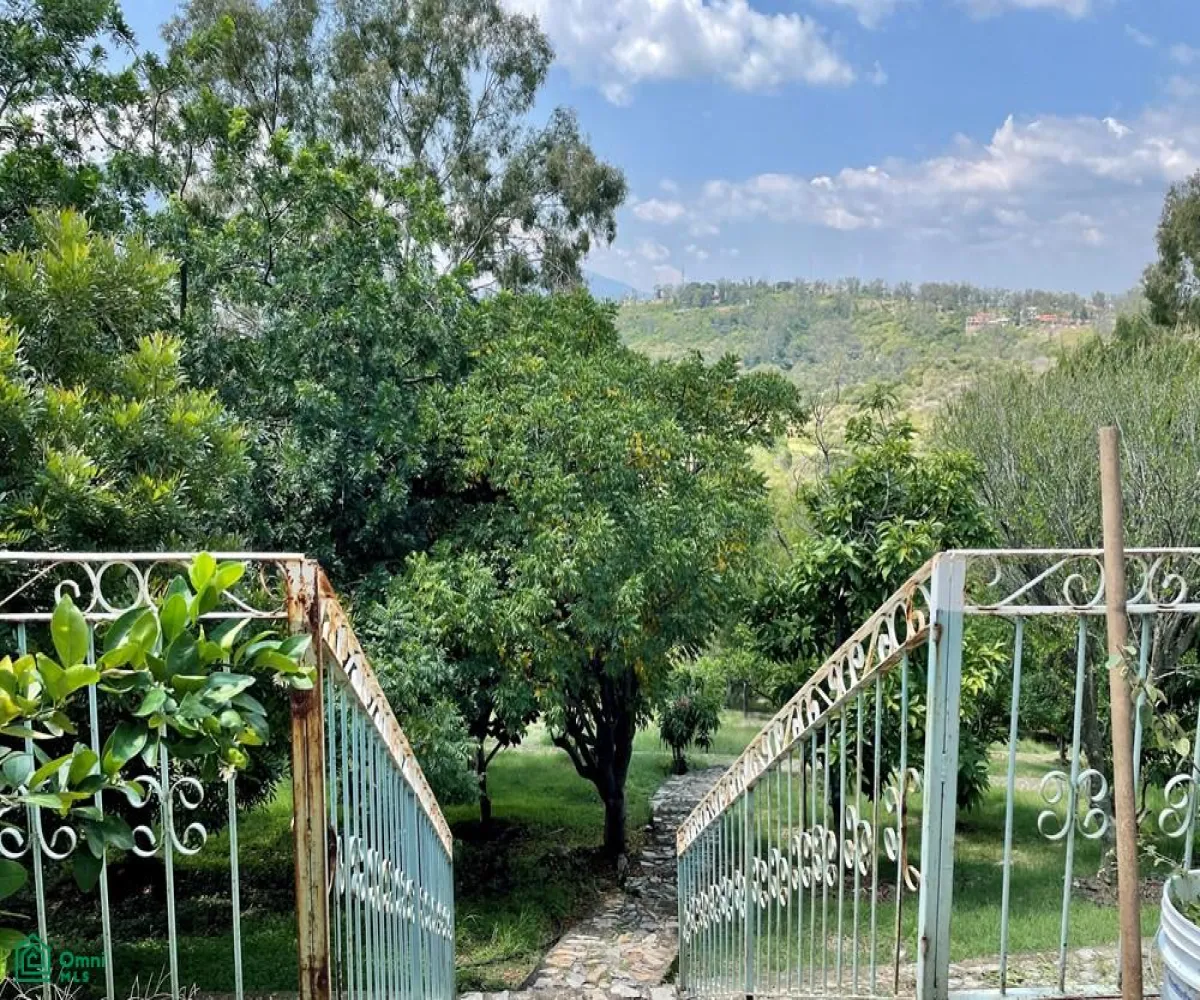 Local En Venta,Ixtlahuacan De Los Membrillos,Camino de los Arrieros 3-B, Guadalajara, Jalisco 45850, 3 Habitaciones,4 Baños,Camino de los Arrieros,2,MX25956764