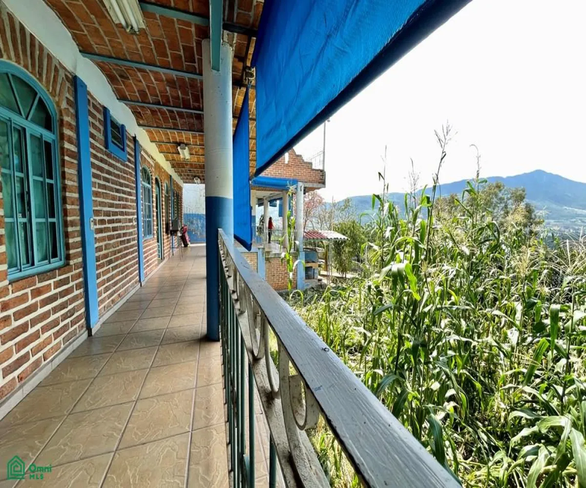 Local En Venta,Ixtlahuacan De Los Membrillos,Camino de los Arrieros 3-B, Guadalajara, Jalisco 45850, 3 Habitaciones,4 Baños,Camino de los Arrieros,2,MX25956764