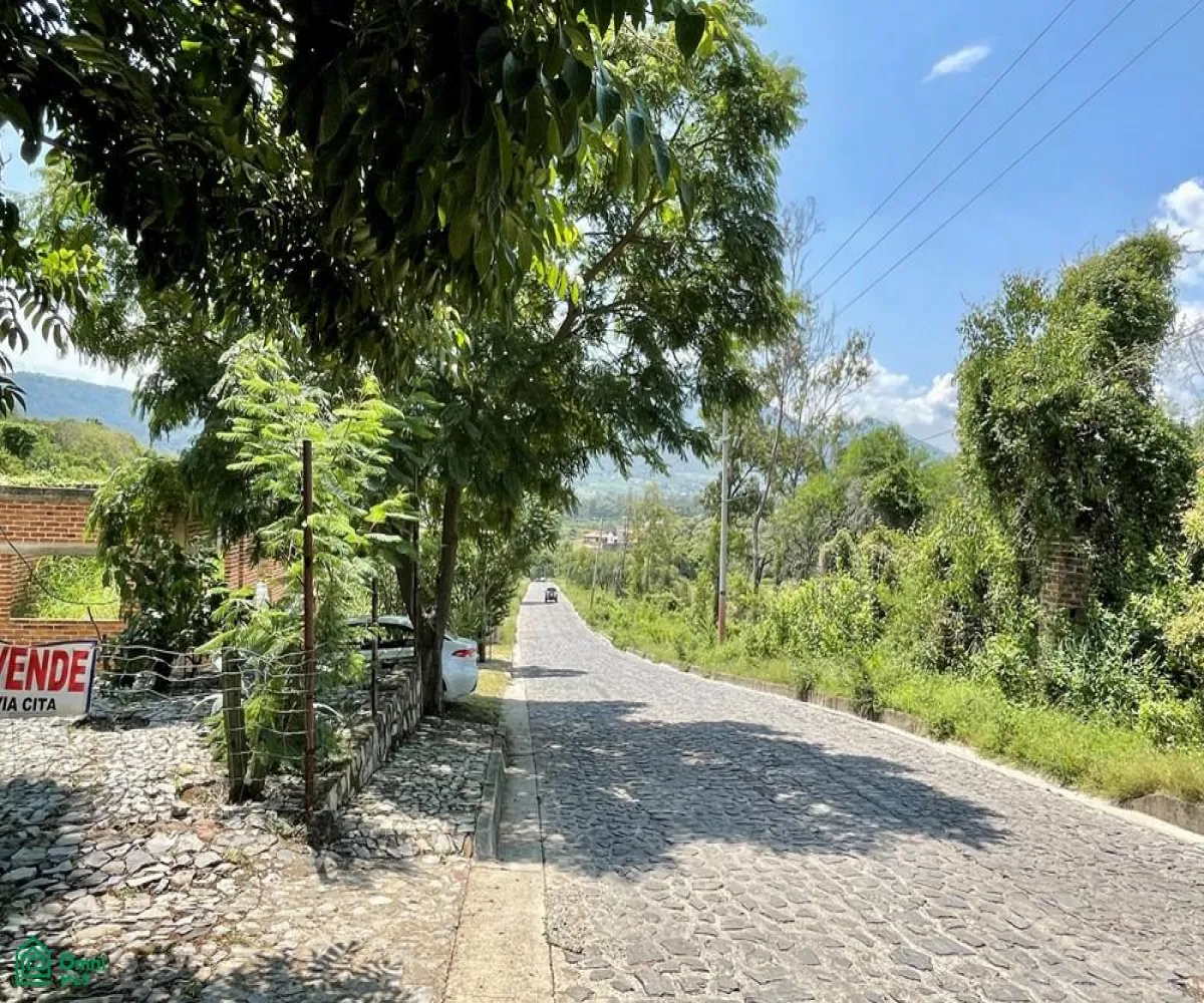 Local En Venta,Ixtlahuacan De Los Membrillos,Camino de los Arrieros 3-B, Guadalajara, Jalisco 45850, 3 Habitaciones,4 Baños,Camino de los Arrieros,2,MX25956764