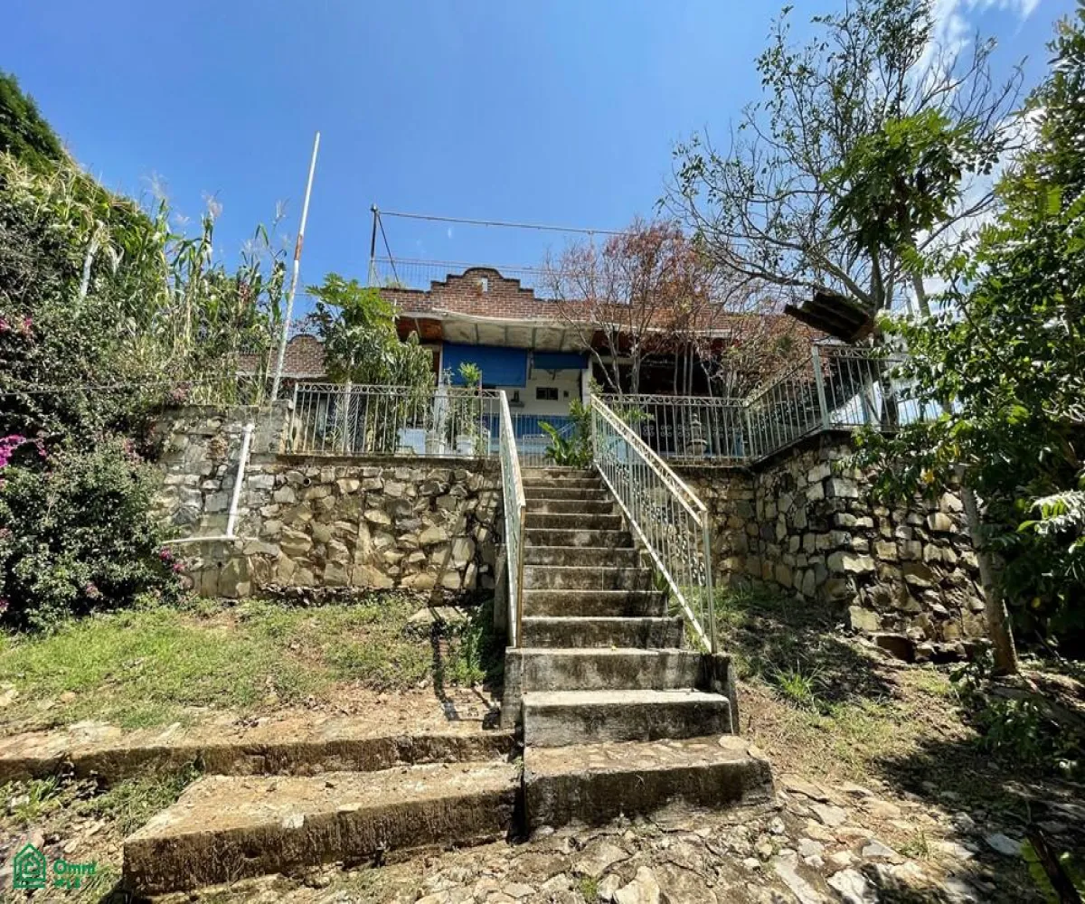 Local En Venta,Ixtlahuacan De Los Membrillos,Camino de los Arrieros 3-B, Guadalajara, Jalisco 45850, 3 Habitaciones,4 Baños,Camino de los Arrieros,2,MX25956764