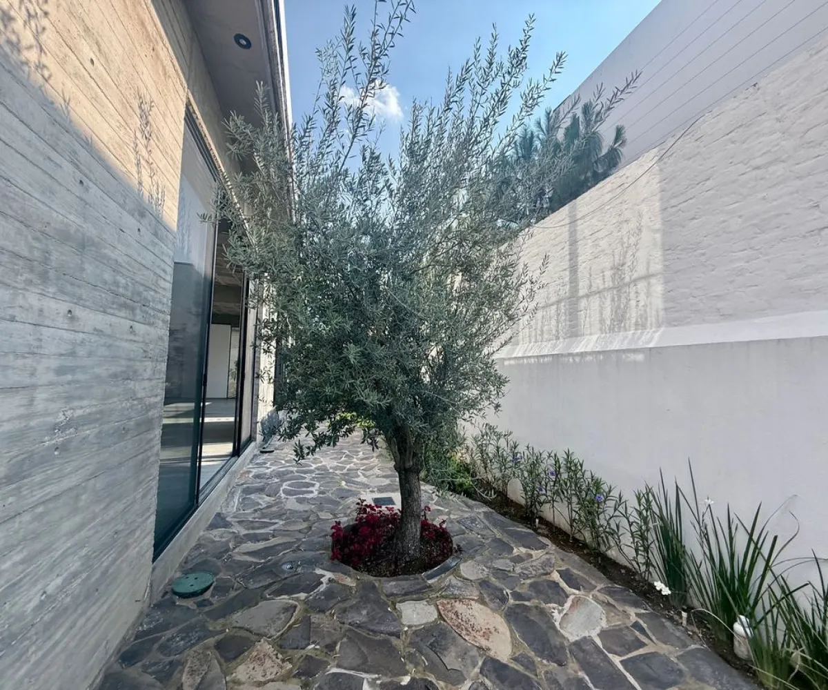 Oficina En Renta,Los Gavilanes,Morelos 24 1, Tlajomulco de Zúñiga, Jalisco 45645,6 Baños,Morelos,1,pNGrtmM