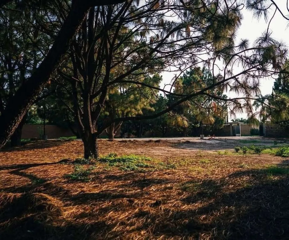 Terreno En Venta,Hacienda San Acacio,coto del Bosque 3034, Zapopan, Jalisco 45134,coto del Bosque,phWLPWj