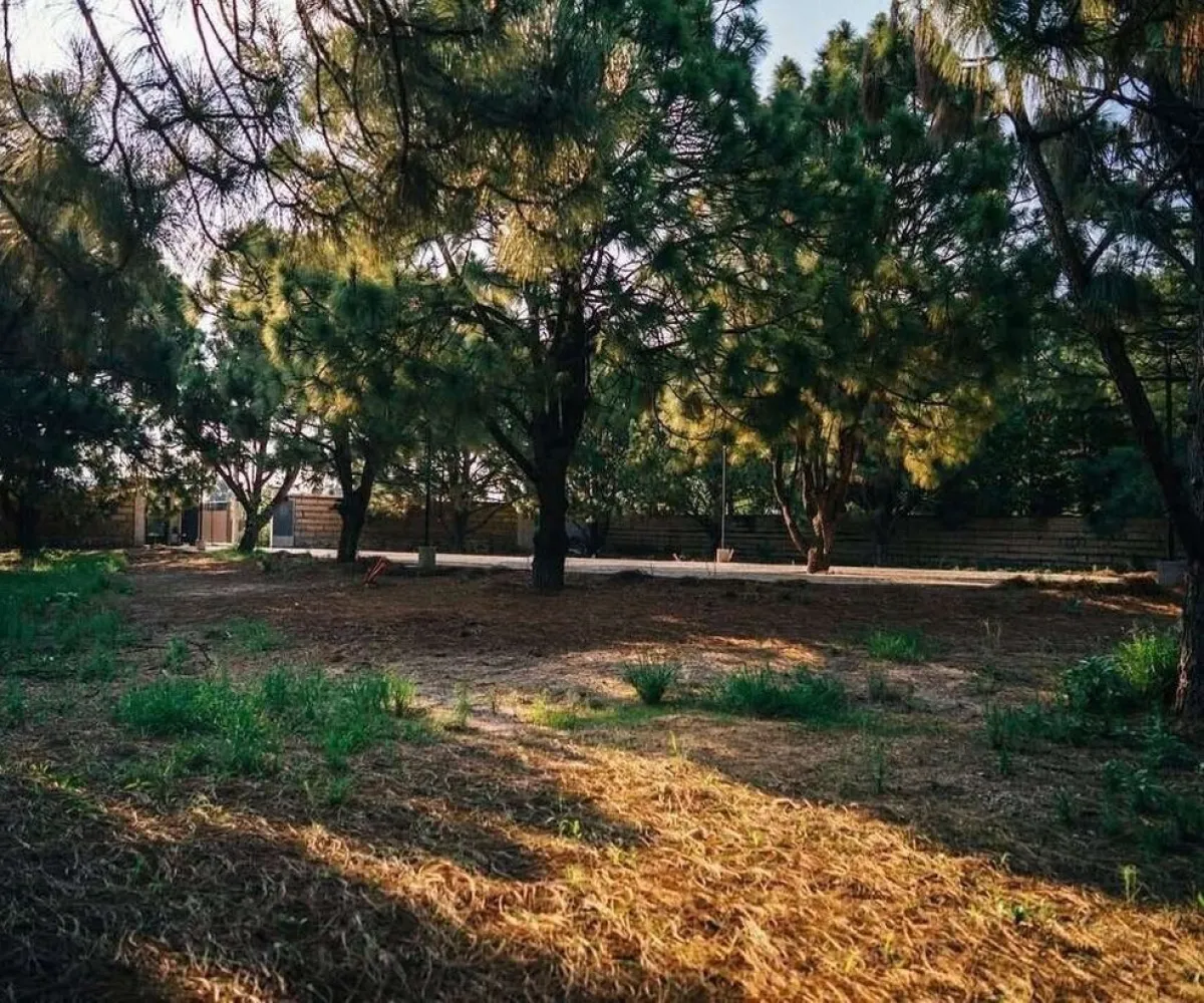 Terreno En Venta,Hacienda San Acacio,Coto del Bosque 3034, Zapopan, Jalisco 45134,Coto del Bosque,pYkh3Sq