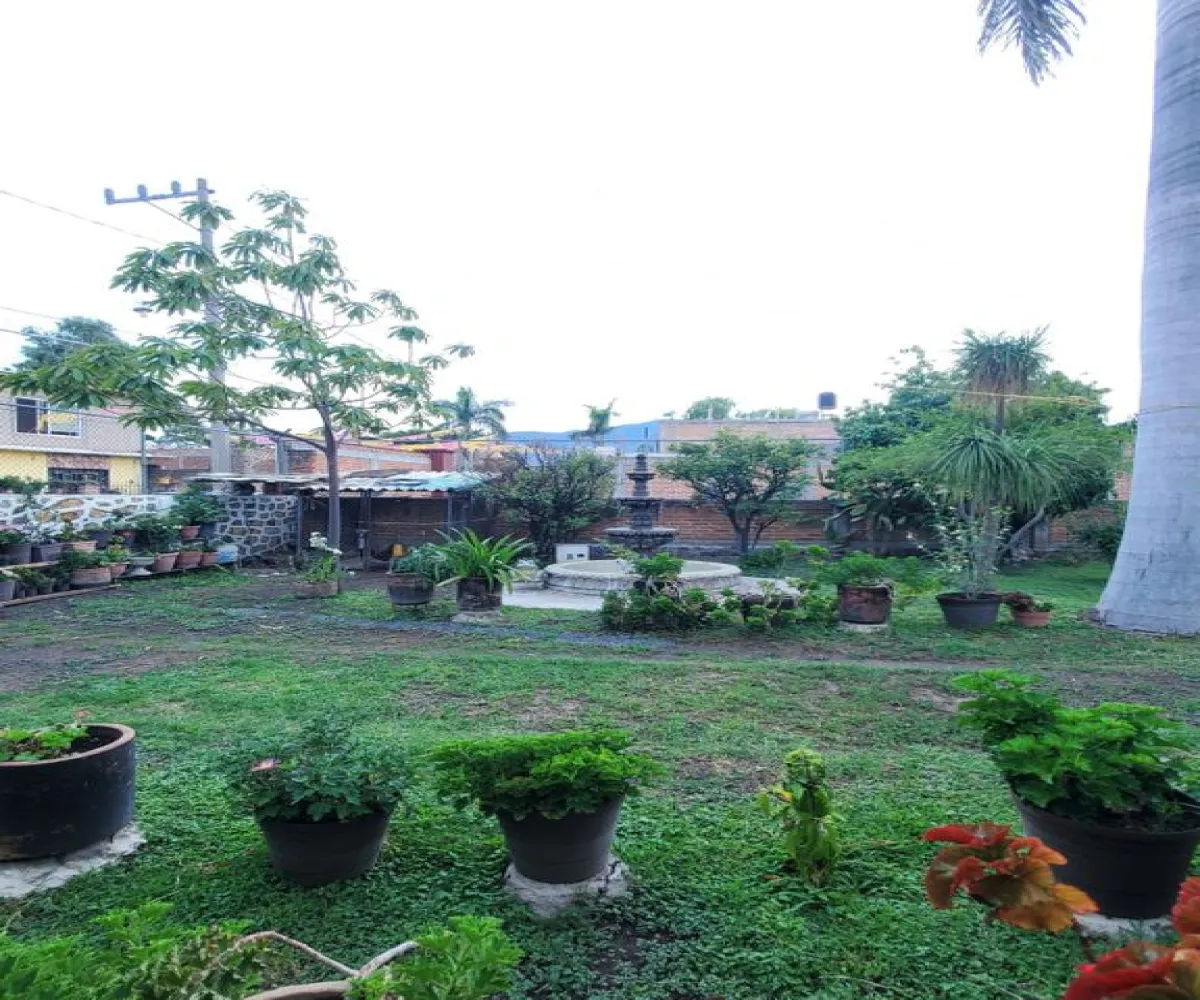 Casa En Venta,Los Cedros,Ixtlahuacan de los Membrillos S/N, Ixtlahuacán de los Membrillos, Jalisco 45850, 1 Cuarto,2 Baños,Ixtlahuacan de los Membrillos,1,p03MmAL